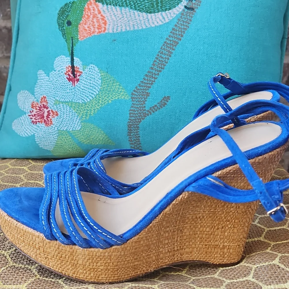 J. Crew Bette Blue Strappy Platform Anklestrap Wedges